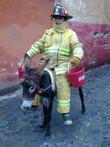 fireman with donkey